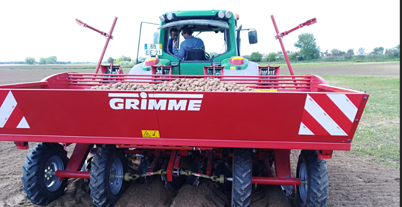 Grimme