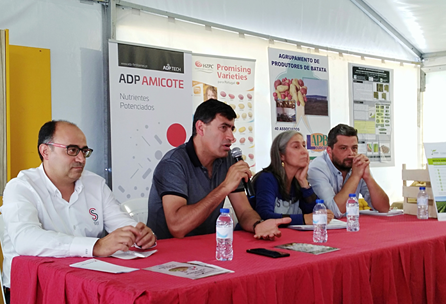 FestivalBatata2019