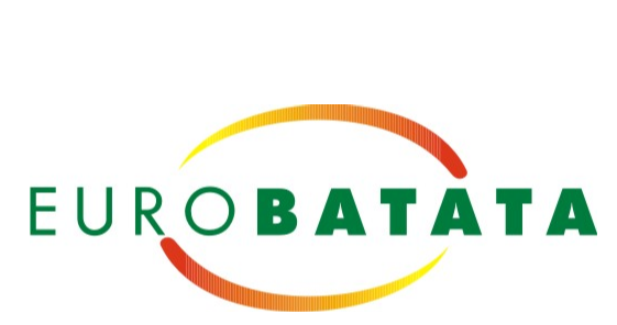 eurobatata
