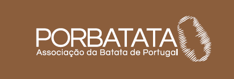 Sem Título