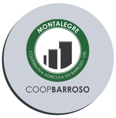 coopbarroso