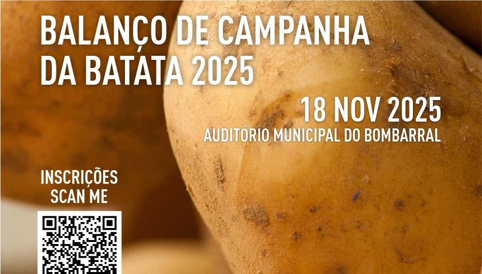 REDES BCBatata 2025