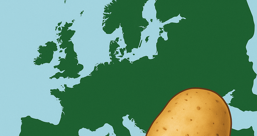 ChatGPT Image 27_11_2025, 09_29_45