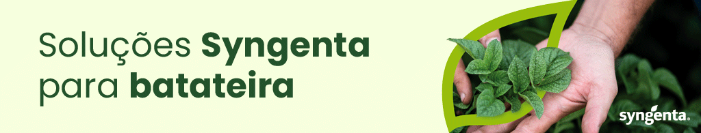 Banner_1024x195_CarialTop-CarialFlex_Patata_PT