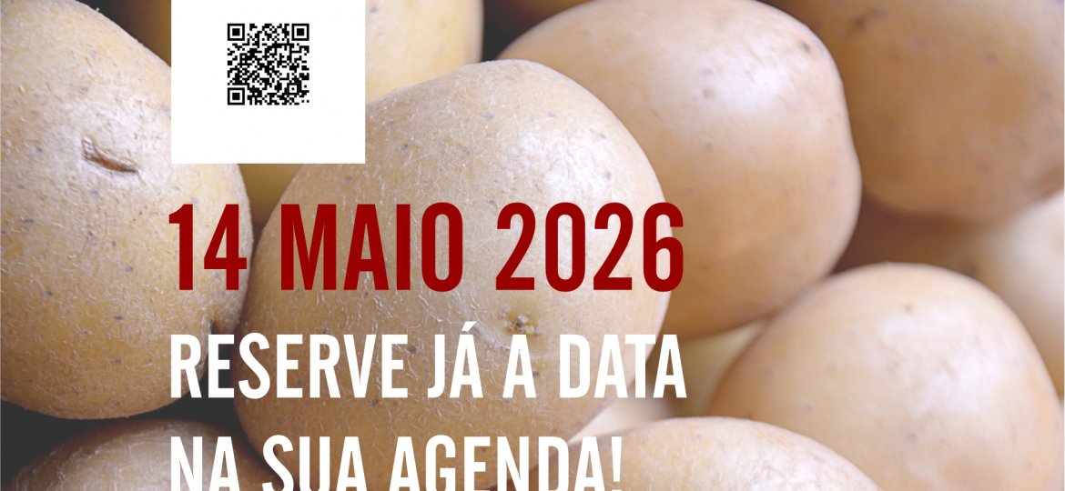 Redes-Jornada-da-Batata