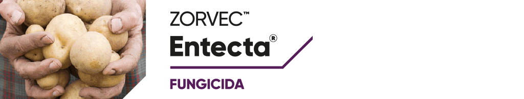 REV1-Zorvec-Entecta-Patata-1024x195_PT